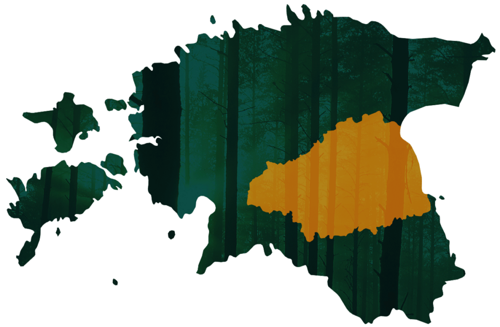Vooremaa Metsaühistu piirkond